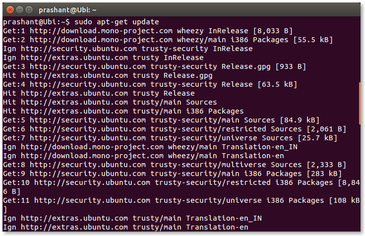 Update Ubuntu Installation