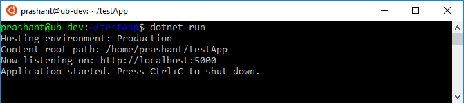 dotnet run command