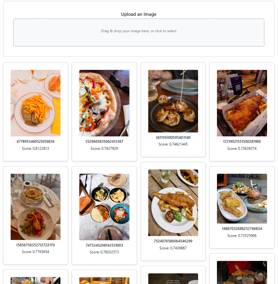 Reverse image search full demo